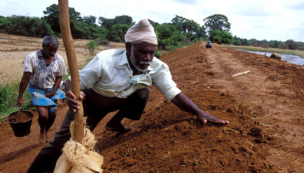 Two men work on repairing and refilling breached sections of embankments as part of the North-East Irrigated Agriculture Project. Sri Lanka.