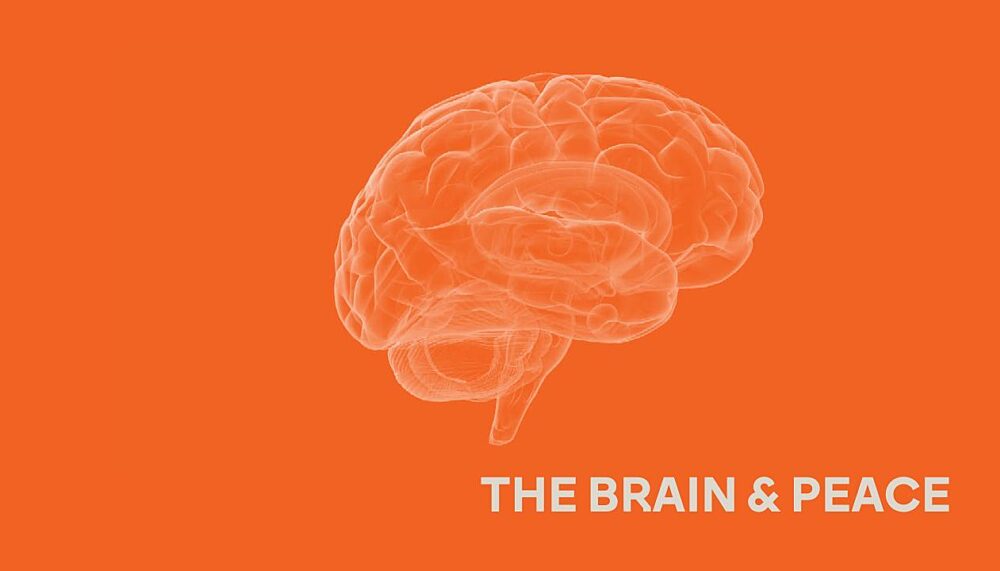 In the late 20th century, we saw a shift towards integrating social psychology into peacebuilding. We now need to explore how to make use of insights from neuroscience.